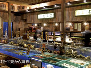 函館海鮮料理 海寿の写真1