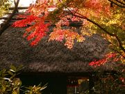 里の湯 和らくの写真4