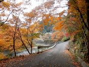 せせらぎの湯 花水木の写真3