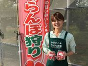 丘の上さくらんぼ園の写真4