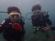 ダイビングスクール 海の学校の写真2