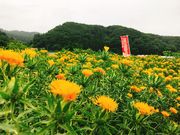 TENDO DAYSの写真3