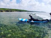 SURF & SUP North Ocean Blueの写真4