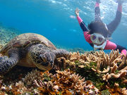 villa西表ツアー(ヴィラ西表ツアー)の写真2