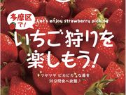 strawberry farm BUNKAENの写真2