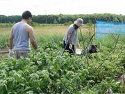 自然体験農園 とあさ村の写真4