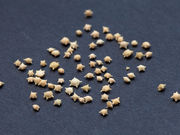 feelokinawaの写真3