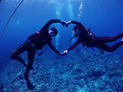 沖縄ダイビングサービスMANAの写真2