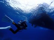 沖縄ダイビングサービスMANAの写真3