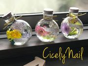 CicelyNailの写真4