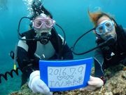 Marine activity NATURA(ナトゥーラ)の写真2
