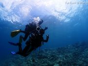 ブルーワールドの写真2