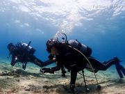 ブルーワールドの写真4