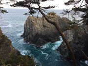 広田崎園地の写真1