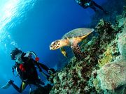 セントラルマリンクラブの写真3