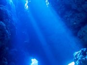 セントラルマリンクラブの写真2