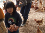 楽農舎なごみの里観光農園の写真2