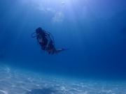 FAUSTO石垣島の写真4