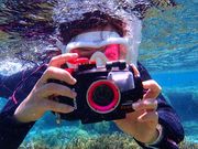 HappyIslandの写真2