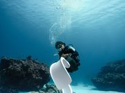 MARINXの写真4