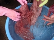 みなべの里 梅染め工房の写真4