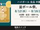 日本酒酒場 福島スイッチの写真2