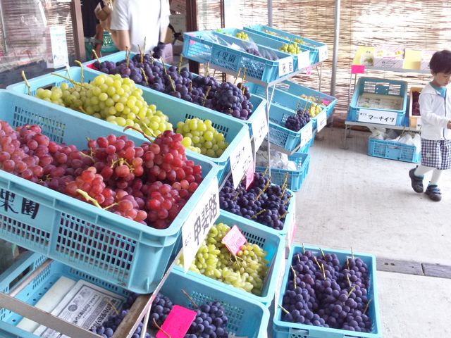 売店でお買い物もできます_みはらしの千果園