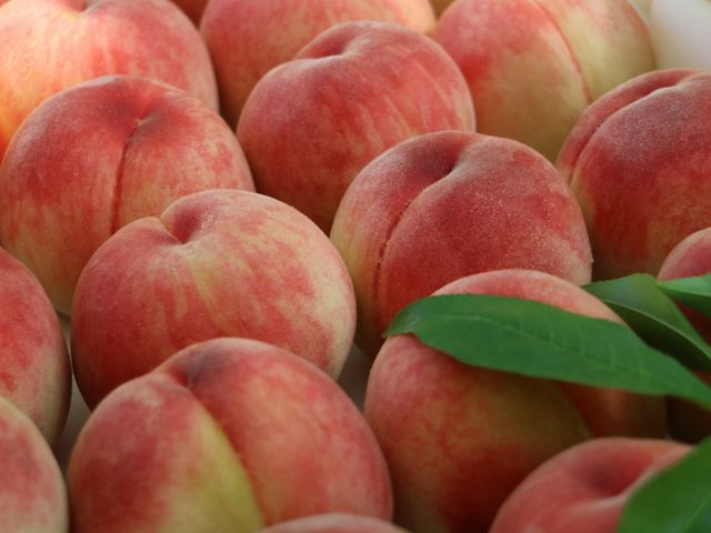 桃の販売、全国発送も承ります_みはらしの千果園