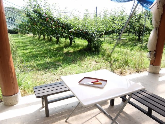 トレーとナイフの貸出があるので手ぶらで楽ちん♪_観光農園 橋本園