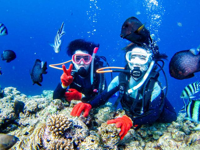 青の洞窟ダイビングツアー!_沖縄マリンスタイル