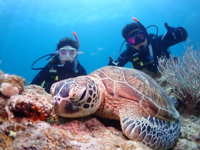 非日常な最高の海の思い出を!_DIVING SHOP RYAAAN