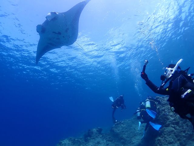 高画質の写真・動画データを無料プレゼント!_DIVING SHOP RYAAAN