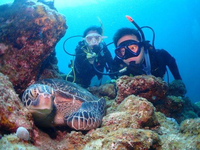 間近で見るカメさんにビックリ!_DIVING SHOP RYAAAN