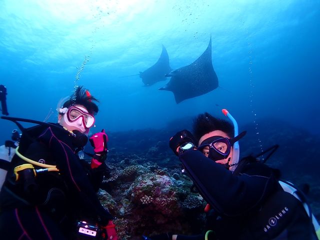 石垣島でマンタに会いたい!_DIVING SHOP RYAAAN
