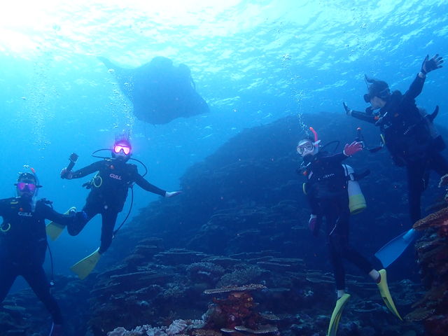 思い出に残るダイビング!_DIVING SHOP RYAAAN