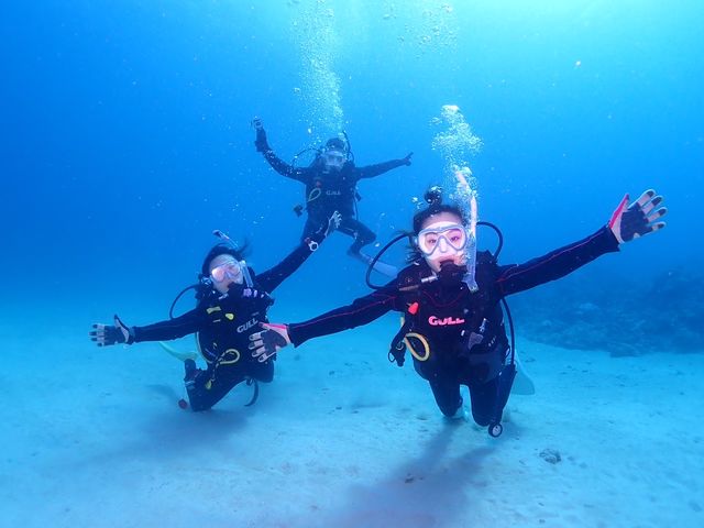 プールのような透明度!_DIVING SHOP RYAAAN