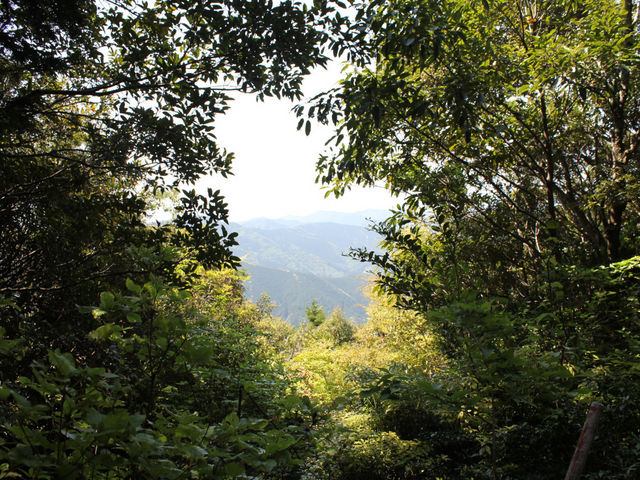 五在所ノ峯(大観峰)