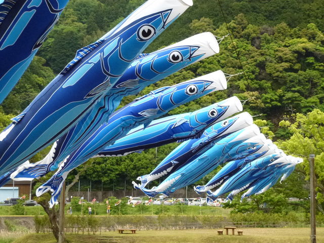 かつおのぼり_黒潮町観光ネットワーク