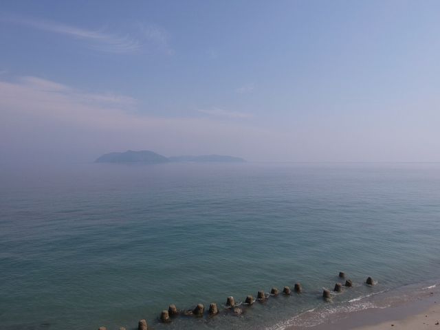 南淡路水仙ライン