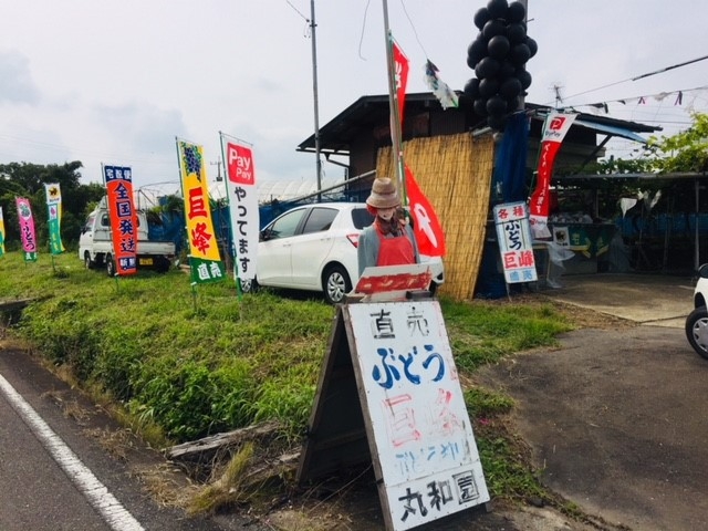 丸和園
