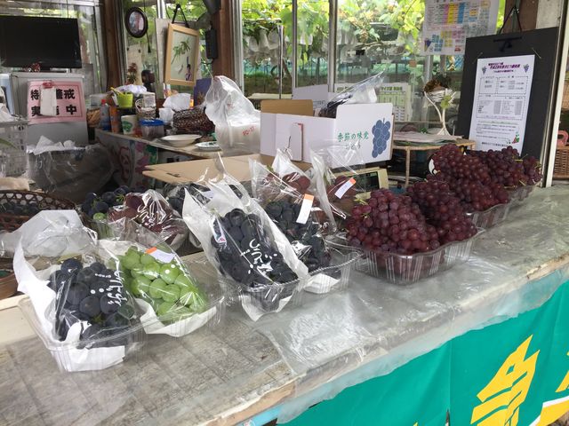 丸和園