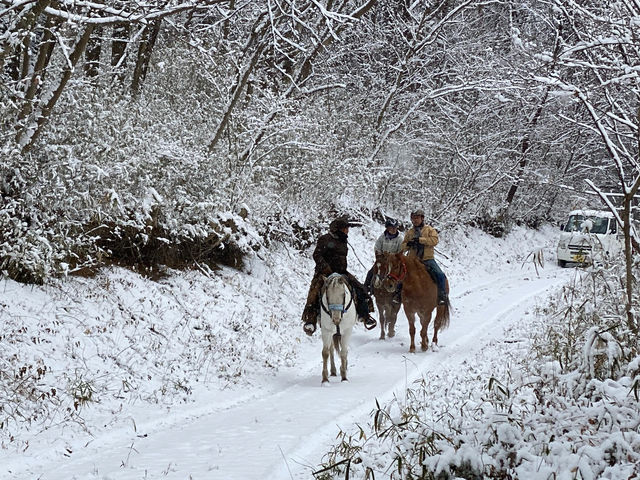 2021 1月
那須高原外乗 白銀の世界を馬に跨りホーストレッキング_Riding Club Jobard那須