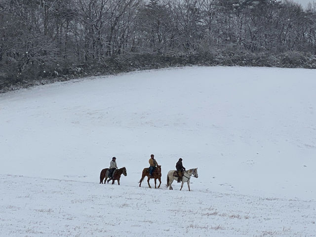 2021 1月
那須高原外乗 白銀の世界を馬に跨りホーストレッキング_Riding Club Jobard那須