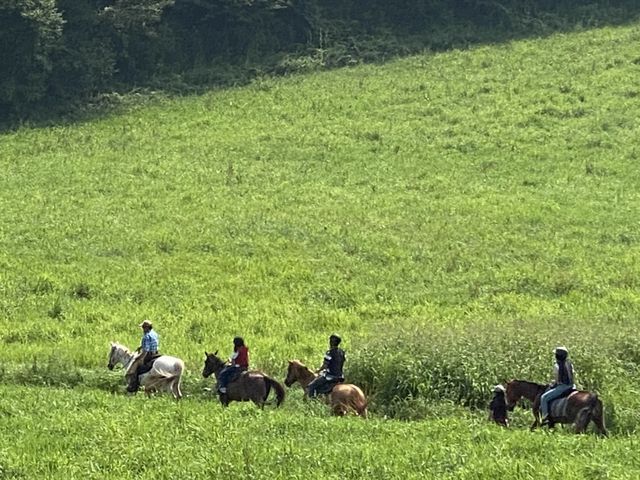 那須高原ホーストレッキング 那須高原の大自然の中を馬に乗り散策します!_Riding Club Jobard那須