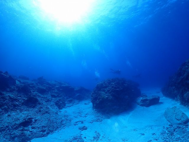 癒しの海!慶良間諸島!_ダイビングショップLiberty