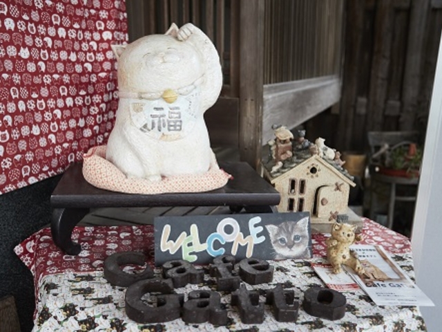 里親募集型保護猫×古民家カフェCafe Gatto