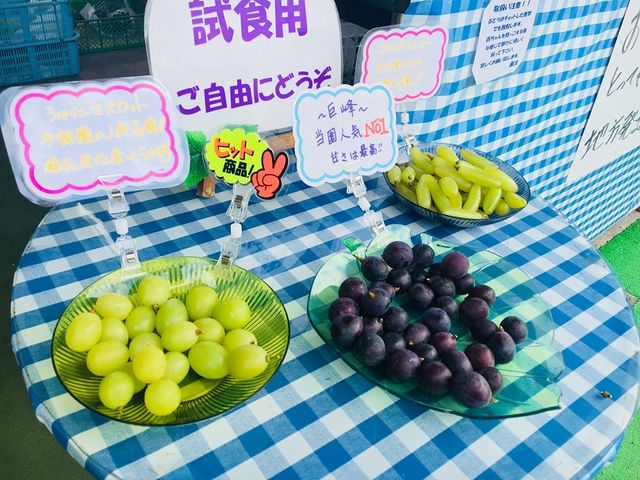 試食もご用意しております_上金ぶどう園