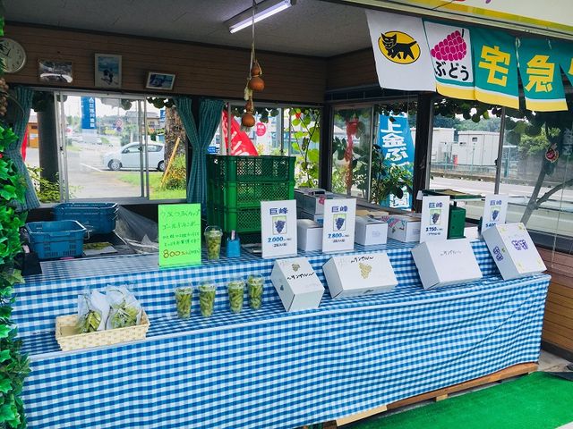 店頭直売や全国への配送も承っております_上金ぶどう園