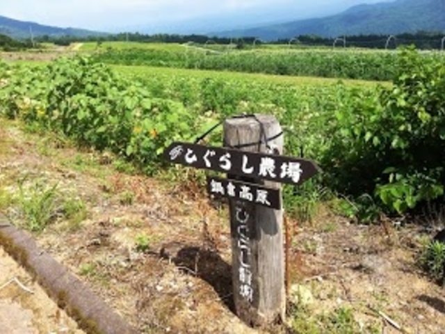 ひぐらし農場入り口の看板。太い道路が走っているため大型バスでも畑すぐそばに来ることができます。_なべくら高原 ひぐらし農場