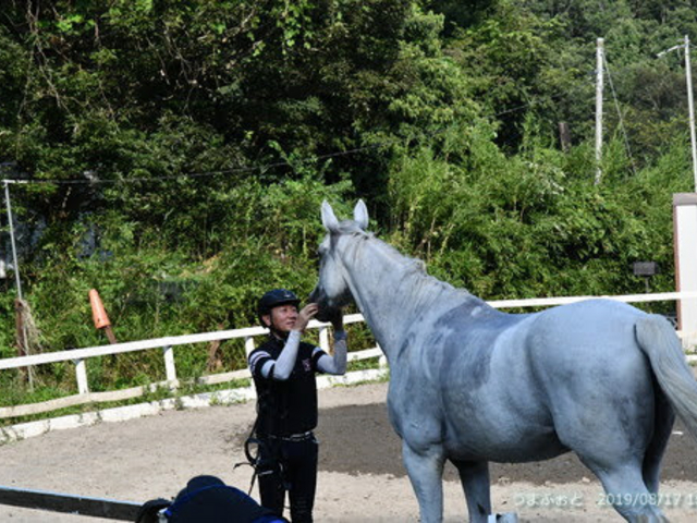 OISO 乗馬 クラブ